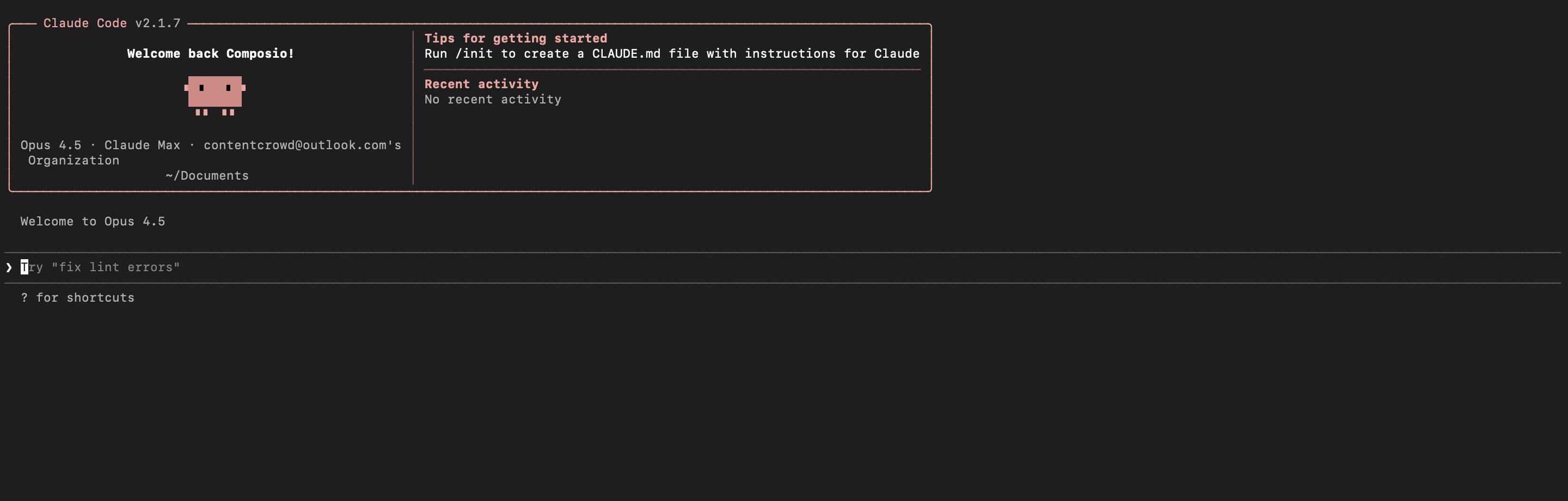 Claude Code terminal after successful login